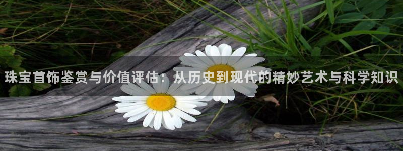 开丰娱乐天富娱乐：珠宝首饰鉴赏与价值评估：从历史到现代的精妙艺术与科学知识
