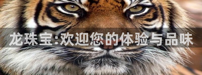 开丰娱乐注册电7O777：龙珠宝:欢迎您的体验与品味