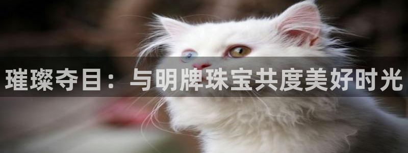 开丰娱乐平台注册地址：璀璨夺目：与明牌珠宝共度美好时光