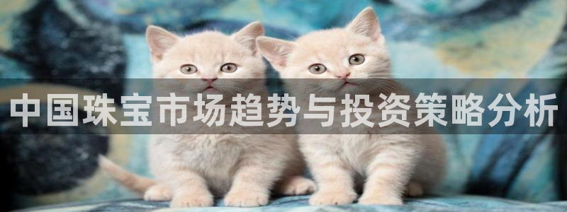 开丰娱乐不开了吗：中国珠宝市场趋势与投资策略分析
