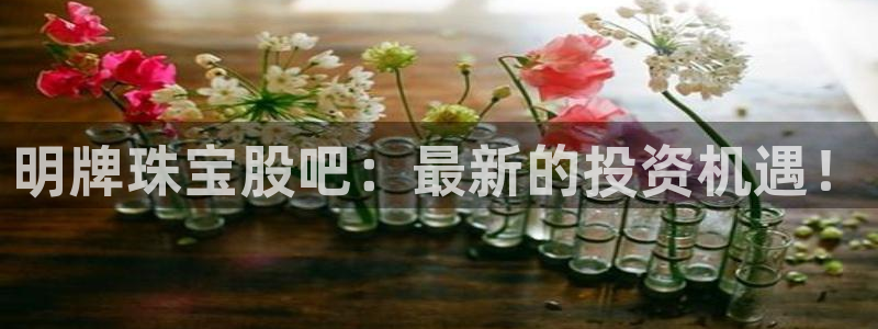 开丰娱乐优七九九47：明牌珠宝股吧：最新的投资机遇！