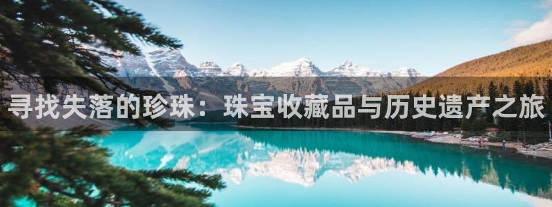 开丰娱乐注册资金多少：寻找失落的珍珠：珠宝收藏品与历史遗产之旅