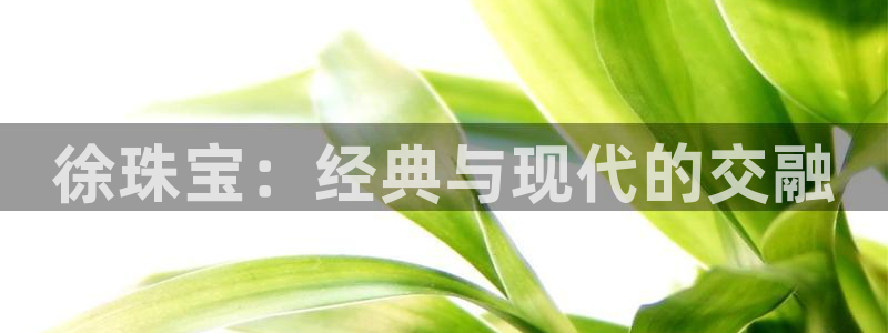 开丰娱乐地址：徐珠宝：经典与现代的交融