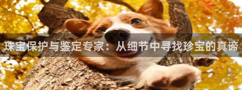 开丰娱乐怎么开转点：珠宝保护与鉴定专家：从细节中寻找珍宝的真谛