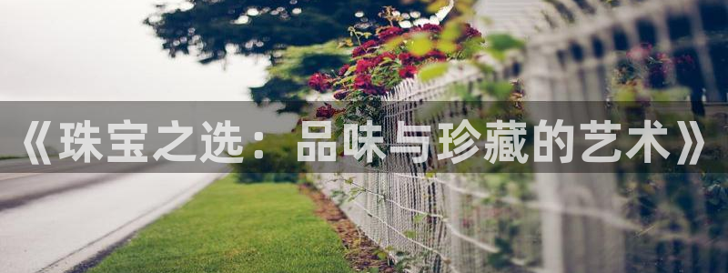 开丰娱乐登录：《珠宝之选：品味与珍藏的艺术》