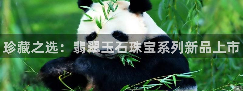 开丰娱乐靠谱吗：珍藏之选：翡翠玉石珠宝系列新品上市