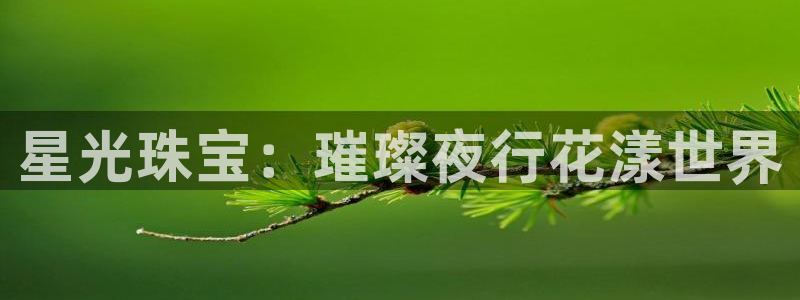 开丰娱乐靠谱吗：星光珠宝：璀璨夜行花漾世界