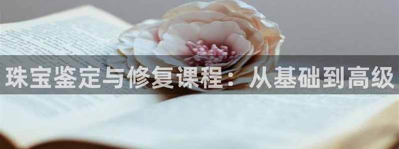 开丰娱乐地址查询：珠宝鉴定与修复课程：从基础到高级