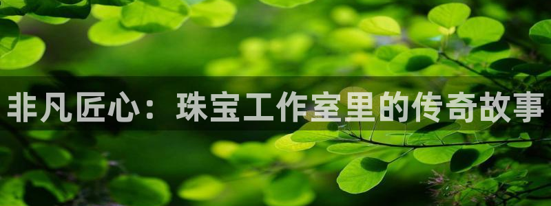 开丰娱乐平台注册：非凡匠心：珠宝工作室里的传奇故事