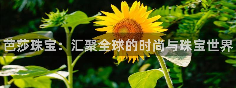 开丰娱乐地址