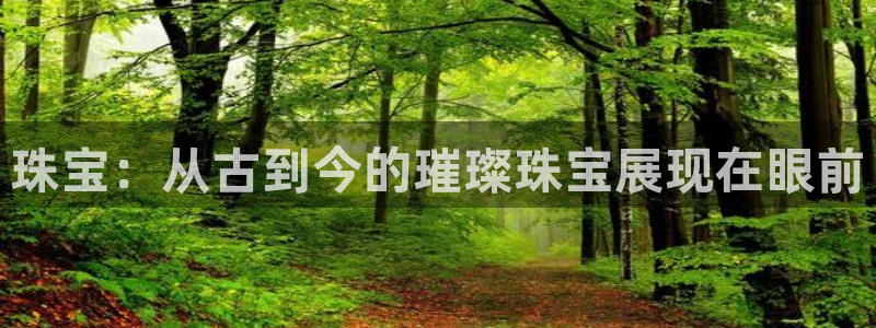 开丰娱乐登录地址入口：珠宝：从古到今的璀璨珠宝展现在眼前