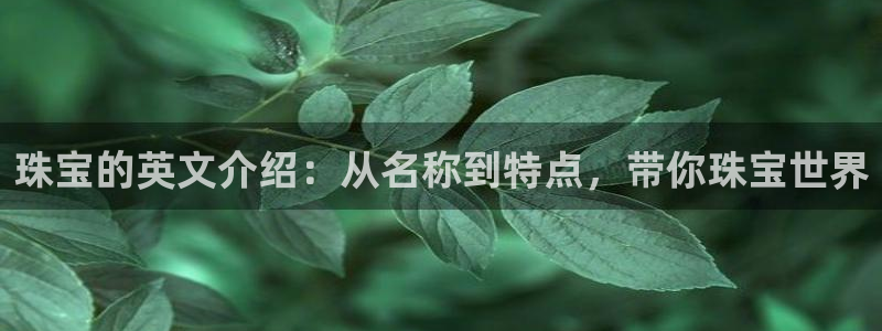 开丰娱乐寸六七五一38