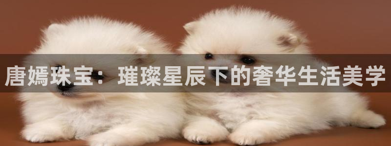 开丰娱乐下