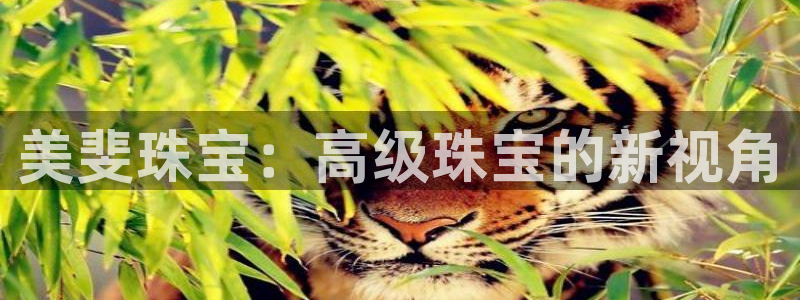 开丰娱乐最新活动
