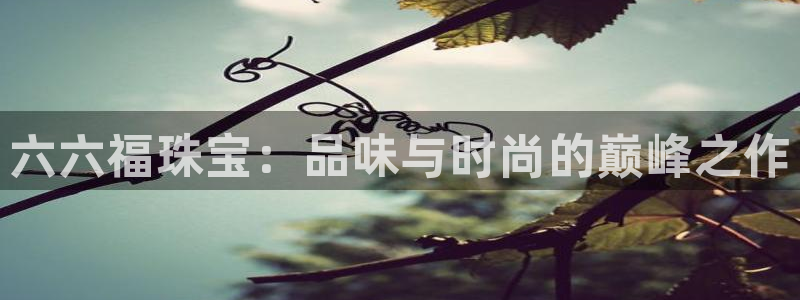 开丰娱乐主管：六六福珠宝：品味与时尚的巅峰之作