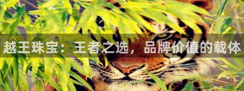 开丰娱乐登录官方网站：越王珠宝：王者之选，品牌价值的载体