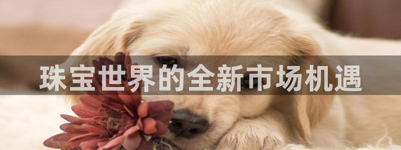 开丰娱乐月：珠宝世界的全新市场机遇