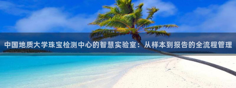 开丰娱乐于六七五一38：中国地质大学珠宝检测中心的智慧实验室：从样本到报告的全流