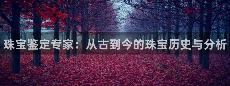 开丰娱乐平台登录：珠宝鉴定专家：从古到今的珠宝历史与分析