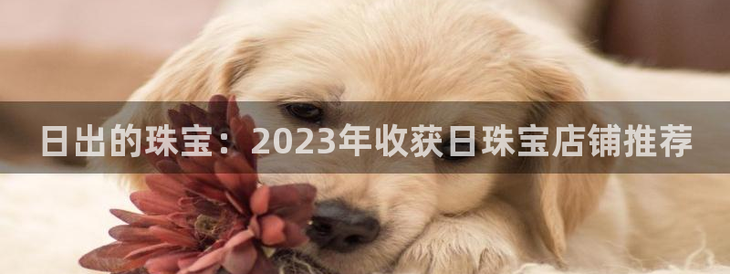 开丰娱乐注册登录不了：日出的珠宝：2023年收获日珠宝店铺推荐