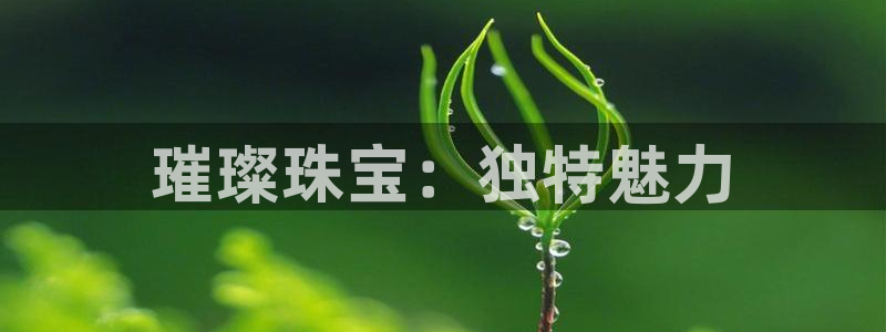 开丰娱乐手机app：璀璨珠宝：独特魅力