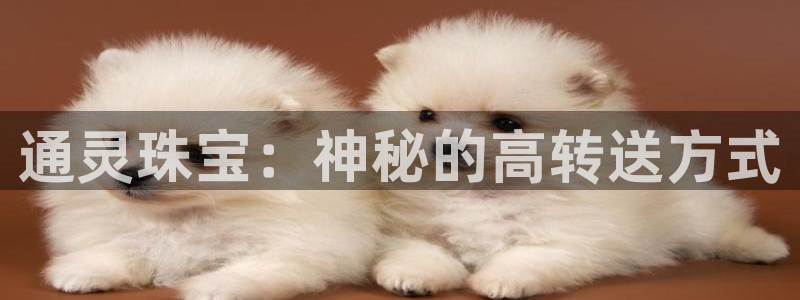 开丰娱乐平台地址电话：通灵珠宝：神秘的高转送方式