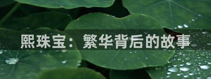 下载开丰娱乐：熙珠宝：繁华背后的故事