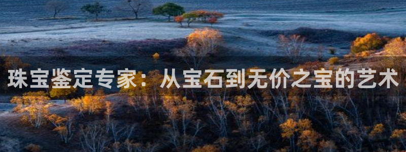 开丰娱乐注册资金多少：珠宝鉴定专家：从宝石到无价之宝的艺术