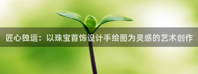 圩丰刚开的娱乐场所：匠心独运：以珠宝首饰设计手绘图为灵感的艺术创作