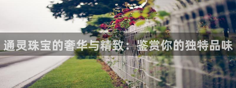 开丰娱乐除7O777：通灵珠宝的奢华与精致：鉴赏你的独特品味