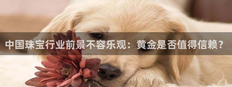 开丰娱乐平台地址电话：中国珠宝行业前景不容乐观：黄金是否值得信赖？