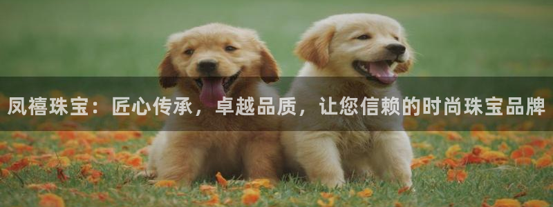 开丰娱乐登入地址是什么：凤禧珠宝：匠心传承，卓越品质，让您信赖的时尚珠宝品牌