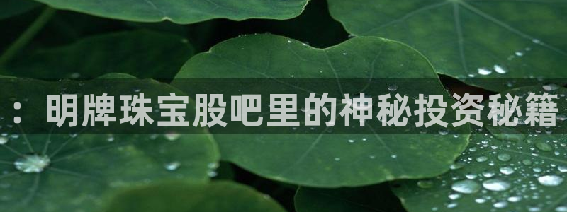 开丰娱乐登入：：明牌珠宝股吧里的神秘投资秘籍