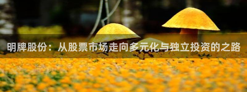 开丰娱乐天富娱乐：明牌股份：从股票市场走向多元化与独立投资的之路