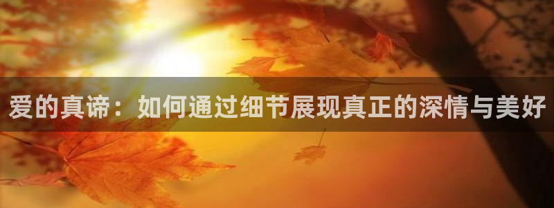 开丰娱乐开户：爱的真谛：如何通过细节展现真正的深情与美好