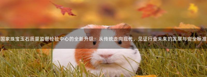 开丰娱乐右7O667：国家珠宝玉石质量监督检验中心的全新升级：从传统走向现代，见