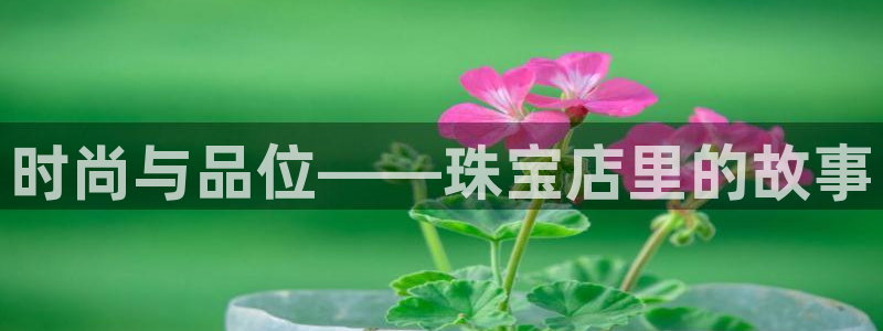 开丰娱乐登陆：时尚与品位——珠宝店里的故事