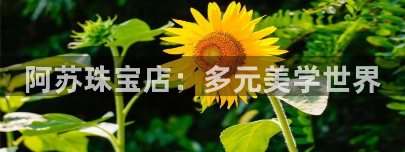 开丰娱乐登入地址
