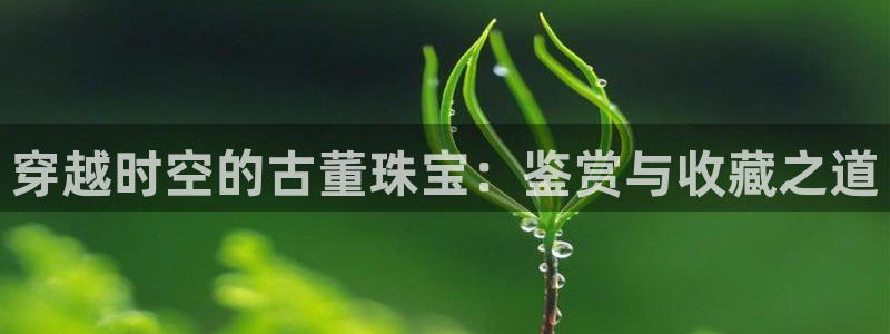 开丰娱乐咋7O777