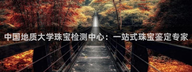 开丰娱乐联系q徽22212：中国地质大学珠宝检测中心：一站式珠宝鉴定专家