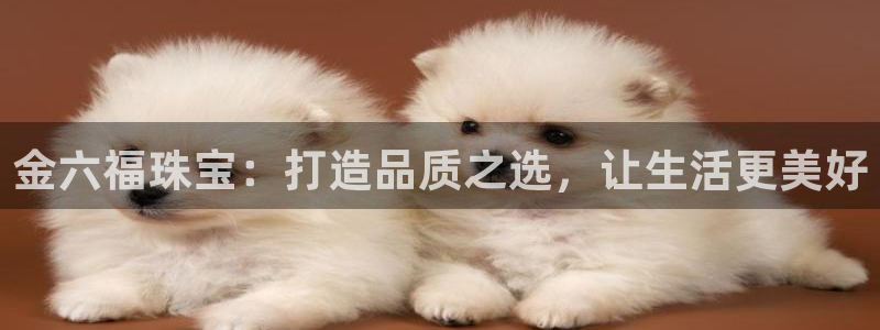 开丰娱乐注册电7O777：金六福珠宝：打造品质之选，让生活更美好