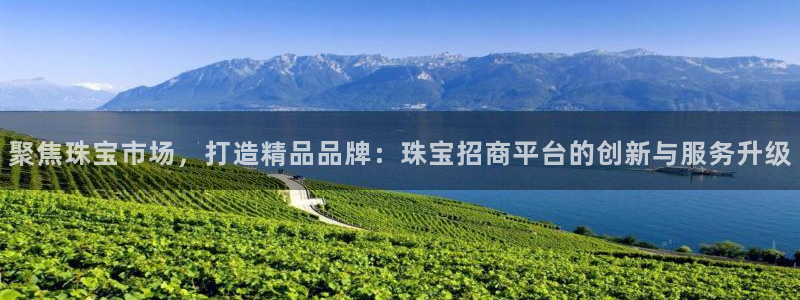 开丰娱乐网站官网下载：聚焦珠宝市场，打造精品品牌：珠宝招商平台的创新与服务升级