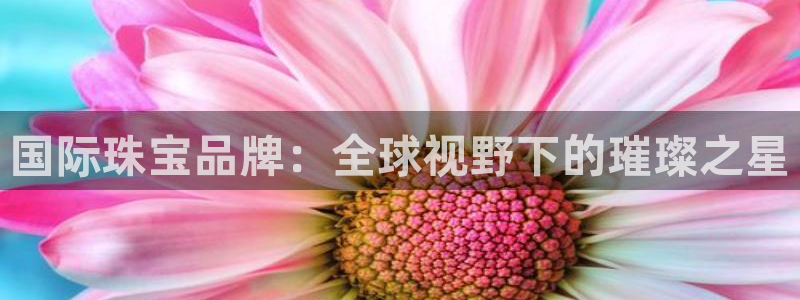 开丰娱乐于六七五一38：国际珠宝品牌：全球视野下的璀璨之星