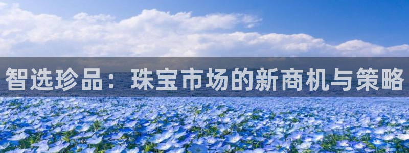 开丰娱乐平台地址在哪里：智选珍品：珠宝市场的新商机与策略
