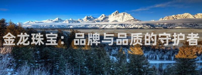 开丰娱乐登入地址在哪查：金龙珠宝：品牌与品质的守护者