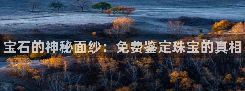 开丰娱乐怎么样：宝石的神秘面纱：免费鉴定珠宝的真相