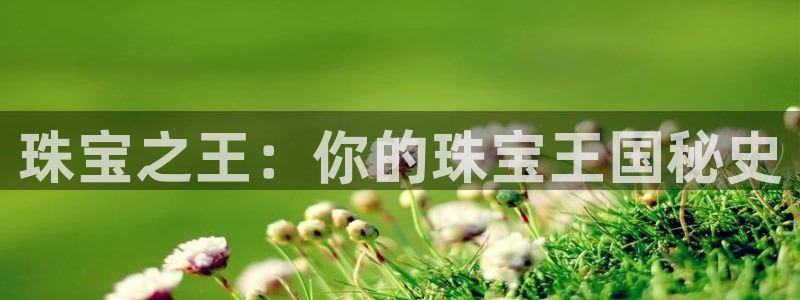 开丰娱乐网站官网下载：珠宝之王：你的珠宝王国秘史