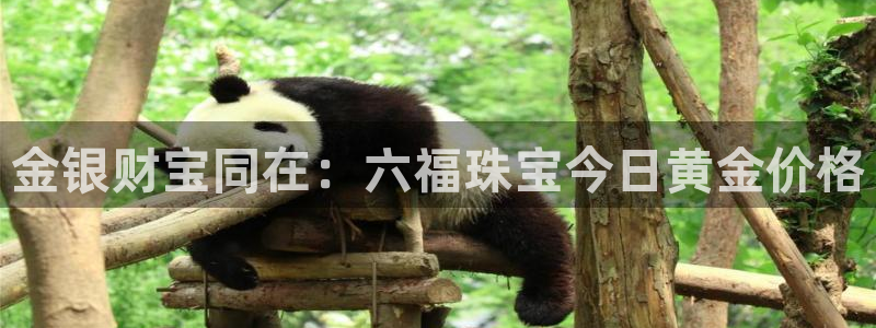 开丰娱乐网官网注册入口：金银财宝同在：六福珠宝今日黄金价格