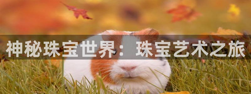 开丰娱乐官网：神秘珠宝世界：珠宝艺术之旅