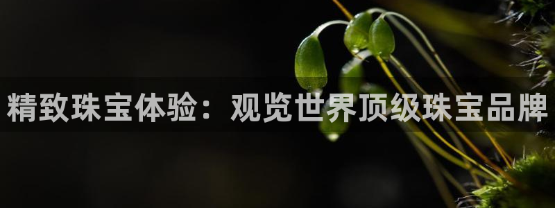 开丰娱乐官网平台下载